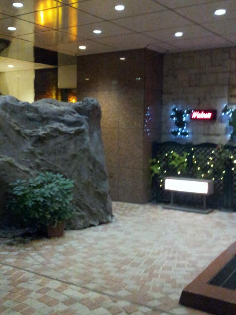 HOTEL 叶(KANOU）(新宿区/ラブホテル)の写真『入口(夜)②』by 少佐