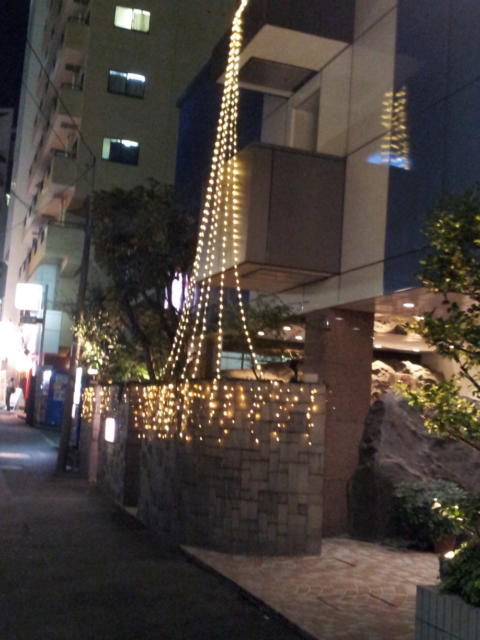 HOTEL 叶(KANOU）(新宿区/ラブホテル)の写真『外観(夜)②』by 少佐