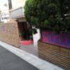 ホテル エクセルシオ(新宿区/ラブホテル)の写真『白昼の入口  西側』by ルーリー９nine