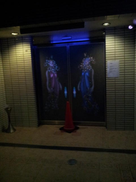 ホテル ウィズ(相模原市/ラブホテル)の写真『入口自動ドア(夜)』by 少佐