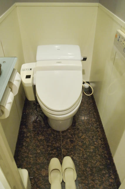 ホテル 晏-an-(アン)(新宿区/ラブホテル)の写真『305号室　トイレ』by INA69