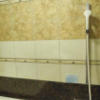 ホテル 晏-an-(アン)(新宿区/ラブホテル)の写真『305号室　浴室全景』by INA69