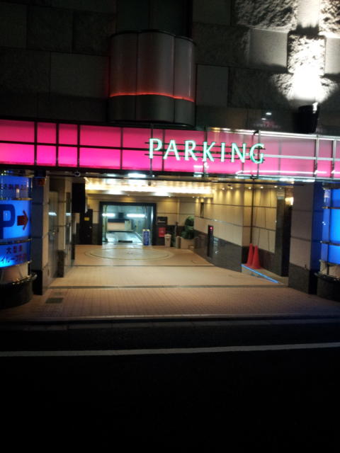 オリオン(新宿区/ラブホテル)の写真『駐車場(夜)』by 少佐
