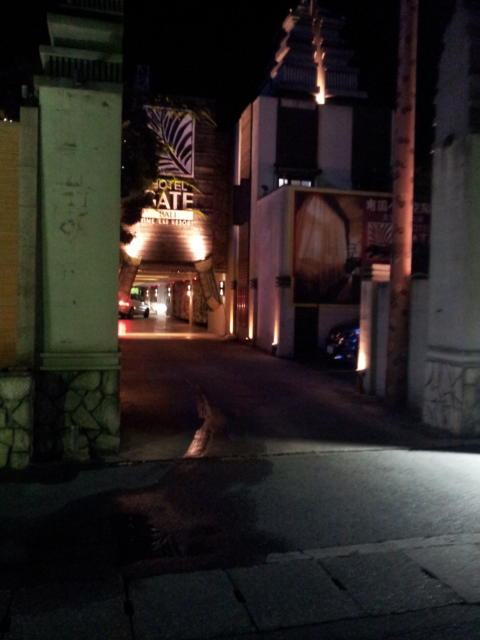 厚木ゲートバリ(厚木市/ラブホテル)の写真『外観(夜)②』by 少佐