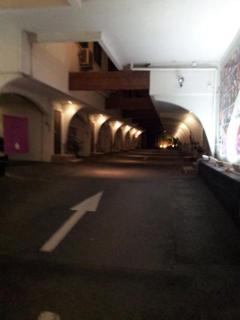 くちなし城 桃源郷(厚木市/ラブホテル)の写真『駐車場(夜)』by 少佐