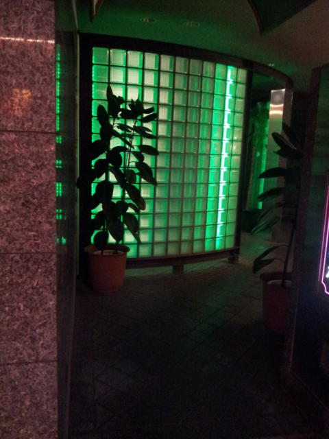 ホテルいいじま(新宿区/ラブホテル)の写真『入口付近(夜)②』by 少佐