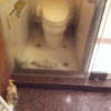 HOTEL CEAN新宿（セアン）(新宿区/ラブホテル)の写真『浴室から見える透明なガラスの壁』by 少佐