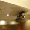 エアーズロック(豊島区/ラブホテル)の写真『305　天井のエアコンやプロジェクター』by ゆかるん