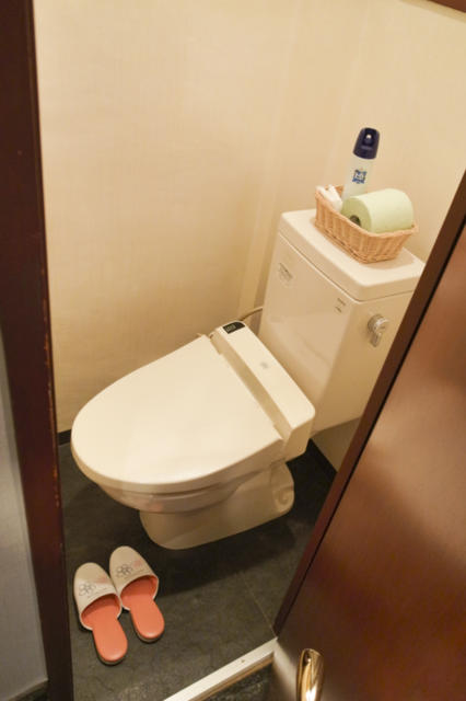 サンモリッツテラ(台東区/ラブホテル)の写真『433号室　トイレ』by INA69