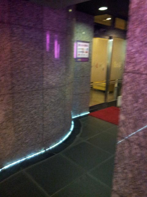 スティング(台東区/ラブホテル)の写真『入口(夜)』by 少佐