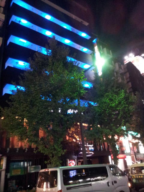 ホテルAVYSS(アビス)(新宿区/ラブホテル)の写真『外観(夜)②』by 少佐