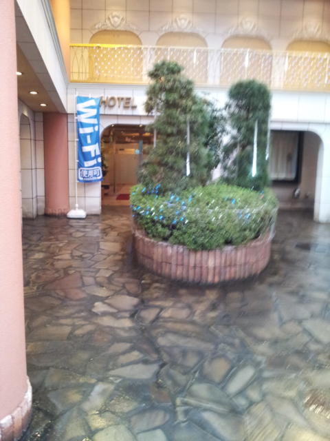 HOTEL SUEHIRO 本館(台東区/ラブホテル)の写真『入口の植栽』by 少佐
