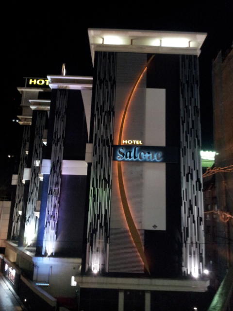 HOTEL SALONE（サローネ）(川崎市川崎区/ラブホテル)の写真『歩道橋からの外観(夜)②』by 少佐