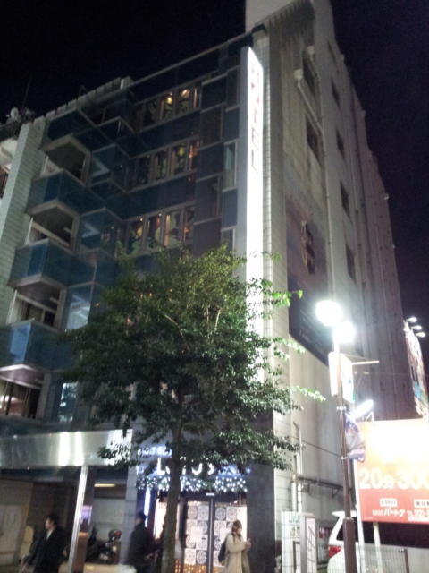 ホテルザ・ロータスバリ(川崎市川崎区/ラブホテル)の写真『外観(夜)⑤』by 少佐