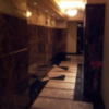 HOTEL TIFFARD（ティファード）(新宿区/ラブホテル)の写真『8階エレベーターホール』by 少佐