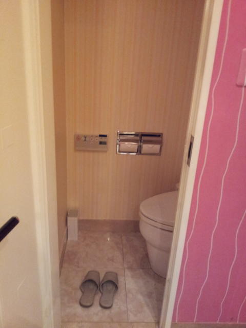 HOTEL TIFFARD（ティファード）(新宿区/ラブホテル)の写真『808号室のトイレの様子』by 少佐