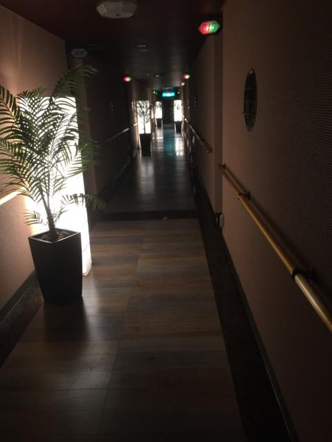 ホテル クイーンズ・バリ(相模原市/ラブホテル)の写真『5階 廊下』by momona