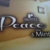 HOTEL PEACE & MINT(品川区/ラブホテル)の写真『入口姿隠しの表示』by ルーリー９nine