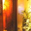 Hotel BALIBALI（バリバリ）(品川区/ラブホテル)の写真『薄暮の入口 近影』by ルーリー９nine