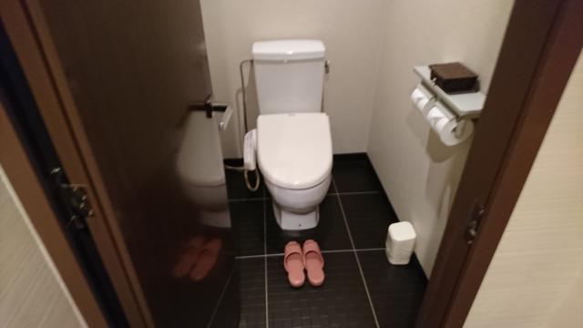 アラウダリゾート国立(国立市/ラブホテル)の写真『204号室 トイレ』by おむすび