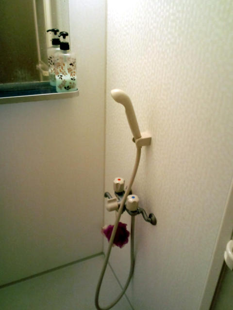 レンタルルーム ドリーム(蕨市/ラブホテル)の写真『203号室シャワー室　シャワーヘッド等拡大　お湯は中々温かくなりませんでした(冬)』by ニューロン