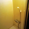 レンタルルーム フィジー(新宿区/ラブホテル)の写真『2号室　浴室のシャワーヘッド』by ニューロン