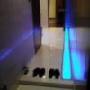 ホテル PASHA(パシャ)(新宿区/ラブホテル)の写真『410号室玄関から居室(突き当たり)を一望す』by ルーリー９nine