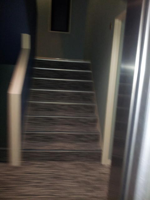 HOTEL K(新宿区/ラブホテル)の写真『エレベターから階段を撮影』by 少佐