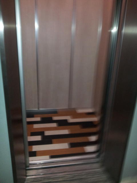 HOTEL K(新宿区/ラブホテル)の写真『エレベターの扉が開いたところ』by 少佐