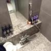 アラウダリゾート国立(国立市/ラブホテル)の写真『シャワー、鏡』by おむすび