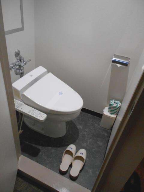 桜ヶ丘(さくらがおか)(多摩市/ラブホテル)の写真『203号室、トイレ』by もんが～