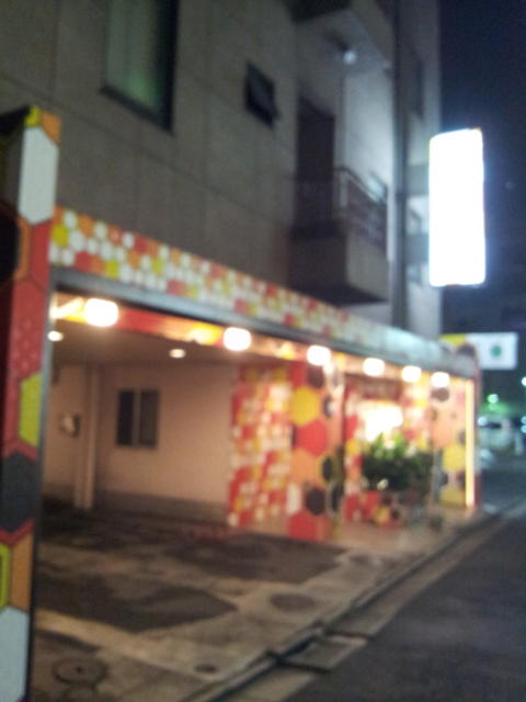 ホテル ハニー(江戸川区/ラブホテル)の写真『夜の駐車場入口③』by 少佐