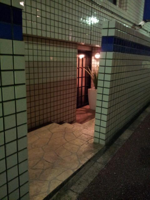 ホテル IU(江戸川区/ラブホテル)の写真『夜の脇道からの入口』by 少佐
