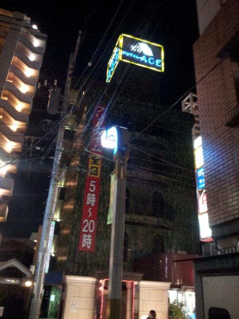 HOTEL ACE（エース）(江戸川区/ラブホテル)の写真『夜の外観④』by 少佐