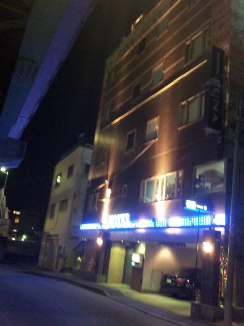 ホテル LUNA(江戸川区/ラブホテル)の写真『夜の駐車場入口と入口②』by 少佐