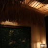 厚木ゲートバリ(厚木市/ラブホテル)の写真『202号室天井の草（ベットの真上のこの草がエアコンの風が当たりカサカサ音を立てていい雰囲気です）』by 夕立朝立