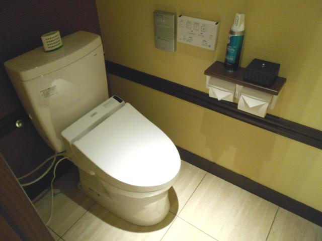 HOTEL AURA ASIAN RESORT 川越店(川越市/ラブホテル)の写真『505号室、トイレ』by もんが～