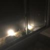 ティンカーベル小山(小山市/ラブホテル)の写真『04号室 浴室から外の様子(夜)』by momona