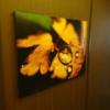 アラウダリゾート国立(国立市/ラブホテル)の写真『廊下の壁飾り』by おむすび