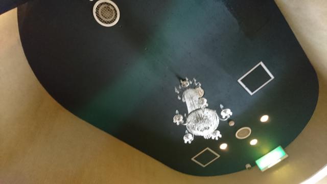 アラウダリゾート国立(国立市/ラブホテル)の写真『地下から１階への階段の天井』by おむすび