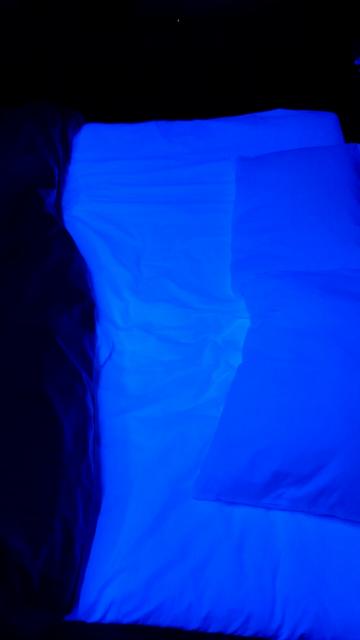 チェリー(足立区/ラブホテル)の写真『206号室ブラックライト使用時は、シーツが幻想的に光る』by 春風拳