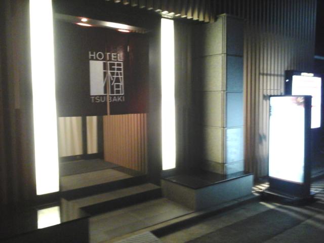 HOTEL TSUBAKI 錦糸町(墨田区/ラブホテル)の写真『夜の入口  北側全景』by ルーリー９nine
