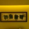 AREAS(エリアス)渋谷(渋谷区/ラブホテル)の写真『203号室　人工観葉植物が飾られている額縁』by OISO（運営スタッフ）