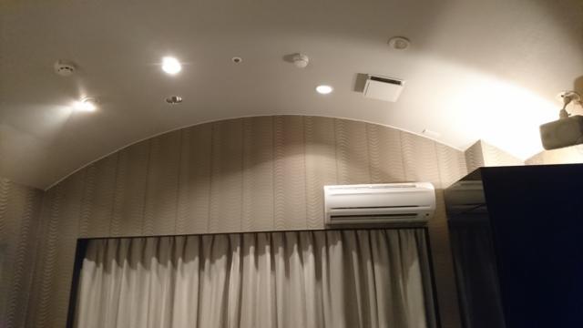 アラウダリゾート国立(国立市/ラブホテル)の写真『504号室、カーブした天井』by おむすび