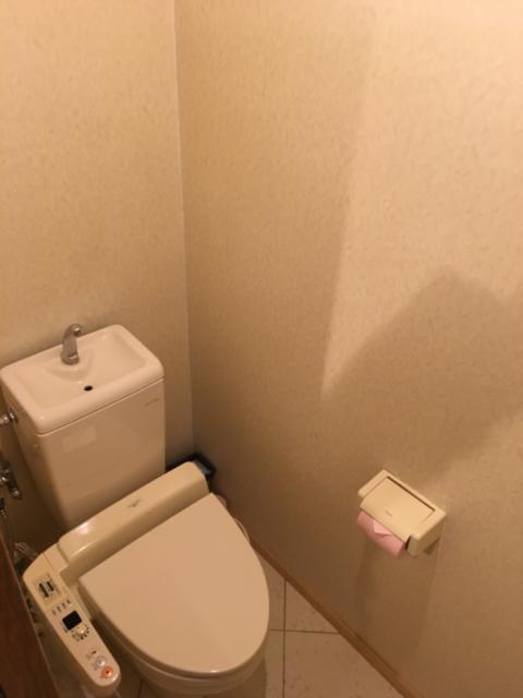 マイアミ(横浜市西区/ラブホテル)の写真『308号室、トイレ』by kakao