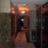 HOTEL TIFFARD（ティファード）(新宿区/ラブホテル)の写真『3階の廊下』by 少佐