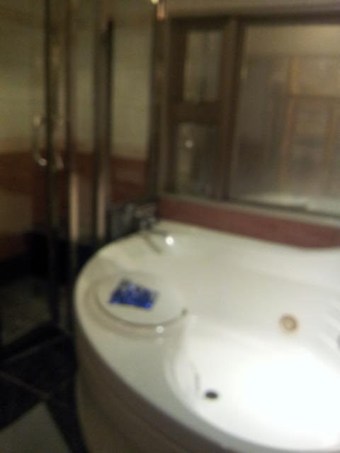 HOTEL TIFFARD（ティファード）(新宿区/ラブホテル)の写真『315号室の浴槽』by 少佐