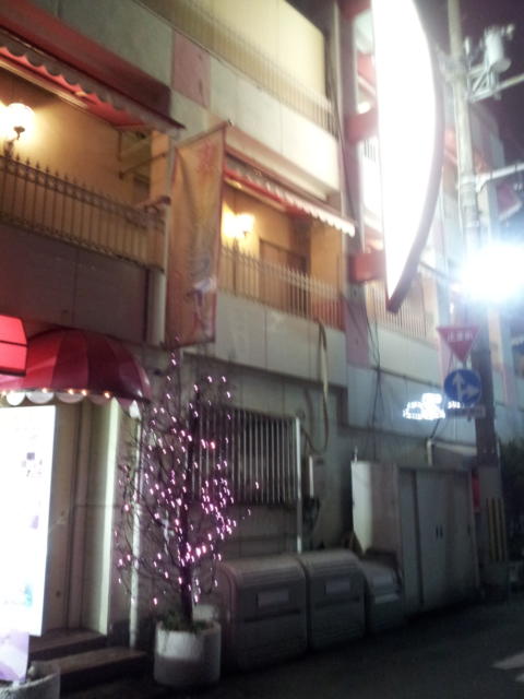 ホテル ニューパレス(尼崎市/ラブホテル)の写真『夜の外観③』by 少佐