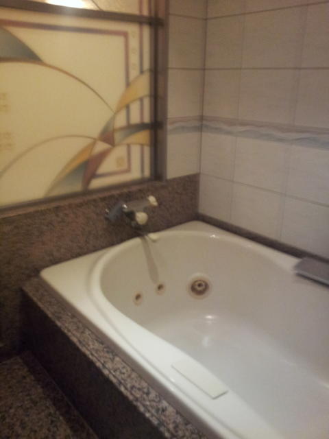 HOTEL TIFFARD（ティファード）(新宿区/ラブホテル)の写真『707号室の浴室と浴槽』by 少佐