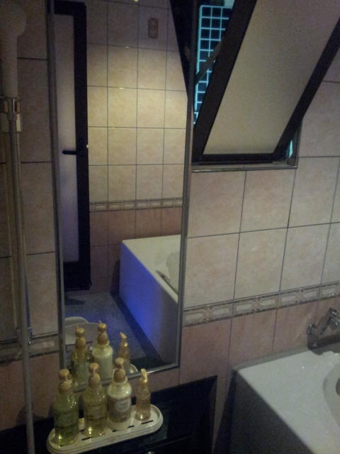 Wバグース(新宿区/ラブホテル)の写真『501号室の浴室④』by 少佐